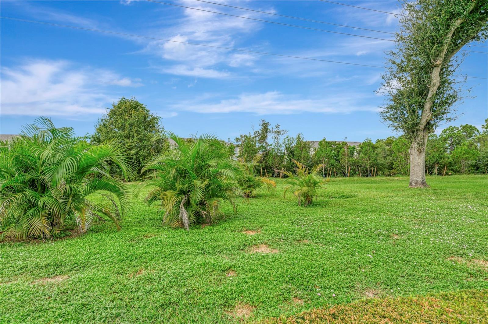 426 BERMUDA ISLES CIR — photo 50