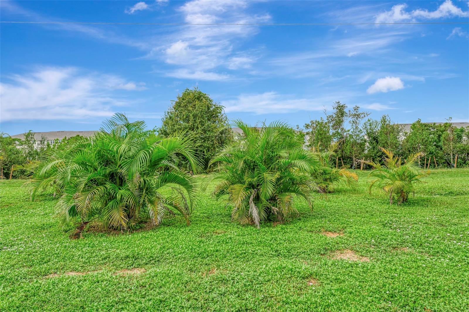 426 BERMUDA ISLES CIR — photo 66