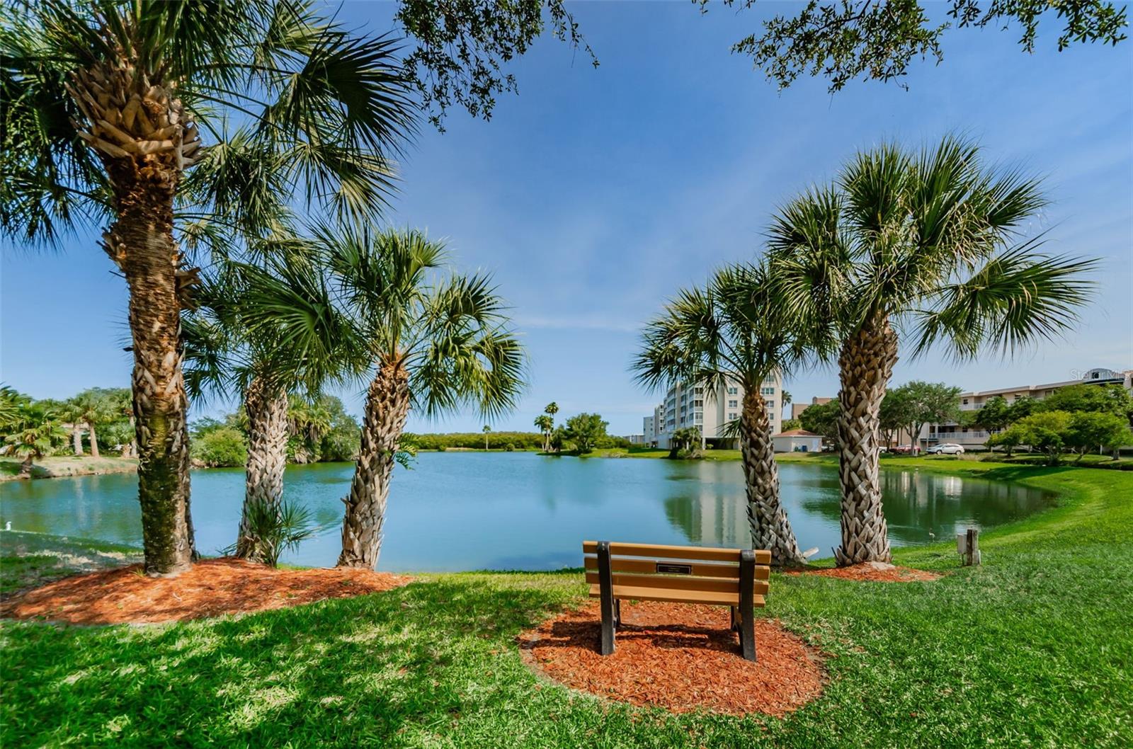 6450 SHORELINE DR #9203 — photo 38