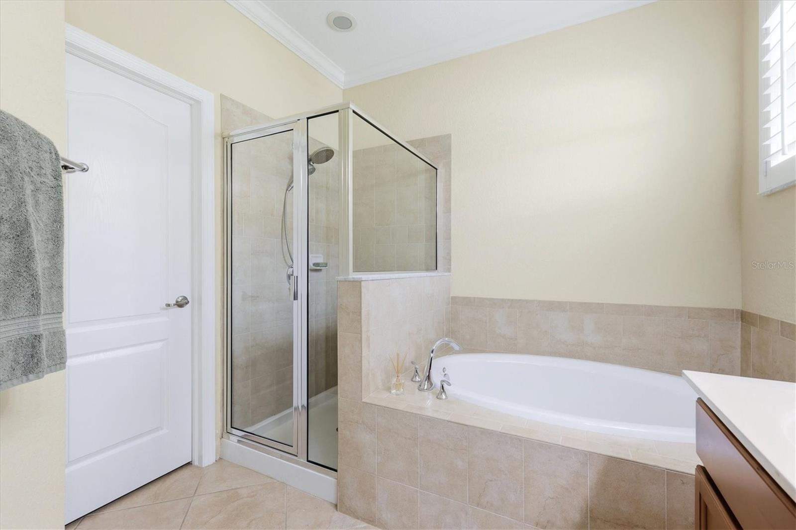 11696 SPOTTED MARGAY AVE — photo 25
