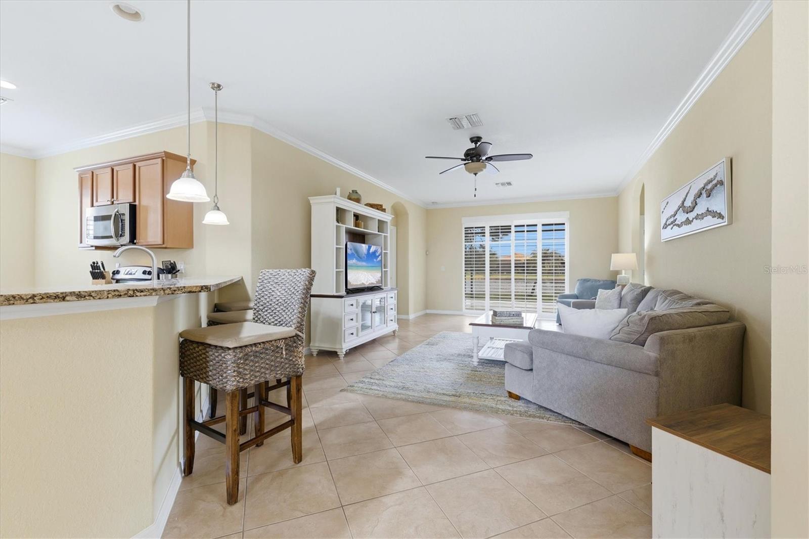 11696 SPOTTED MARGAY AVE — photo 11