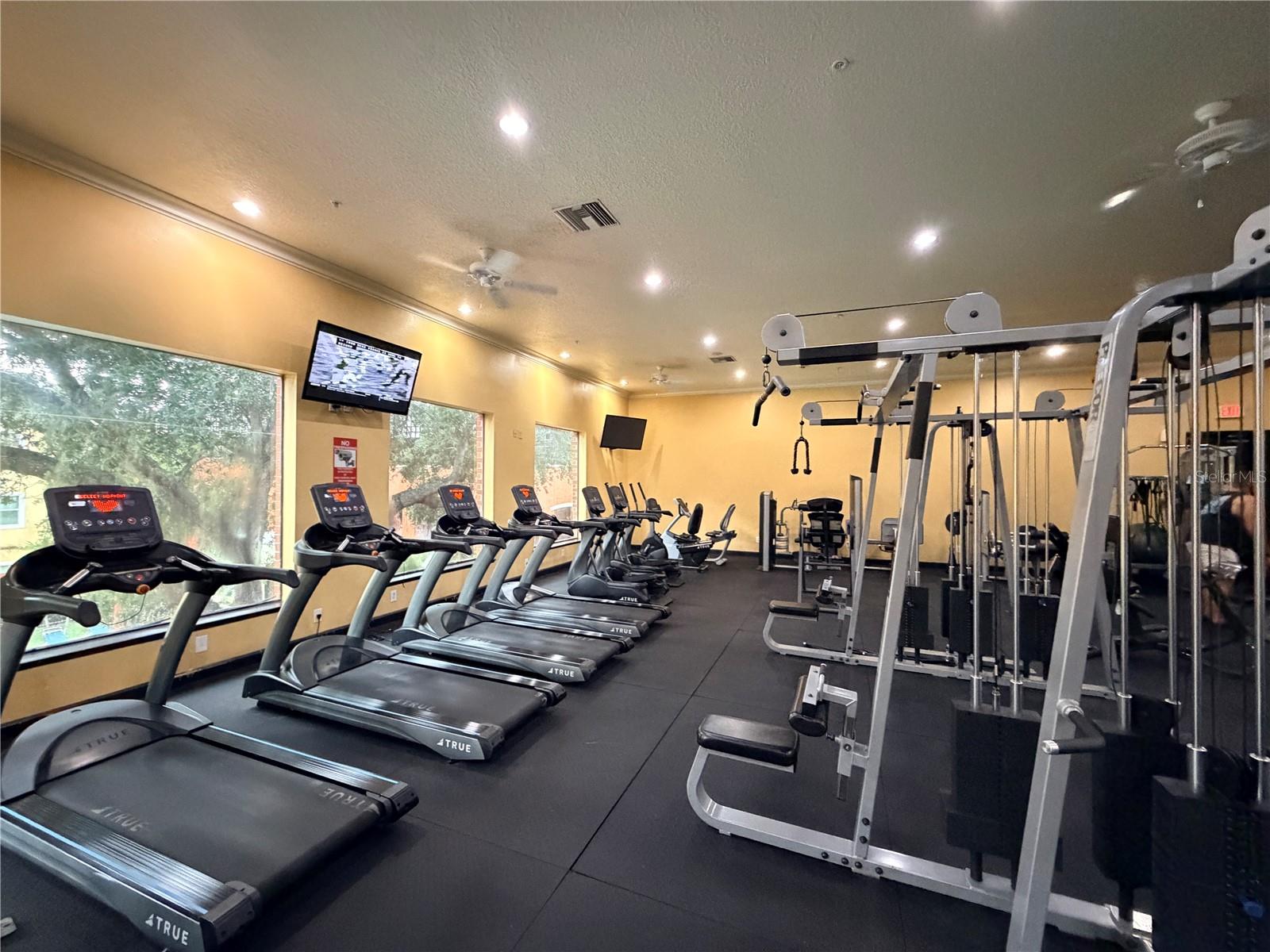 1910 E PALM AVE #8106 — photo 44