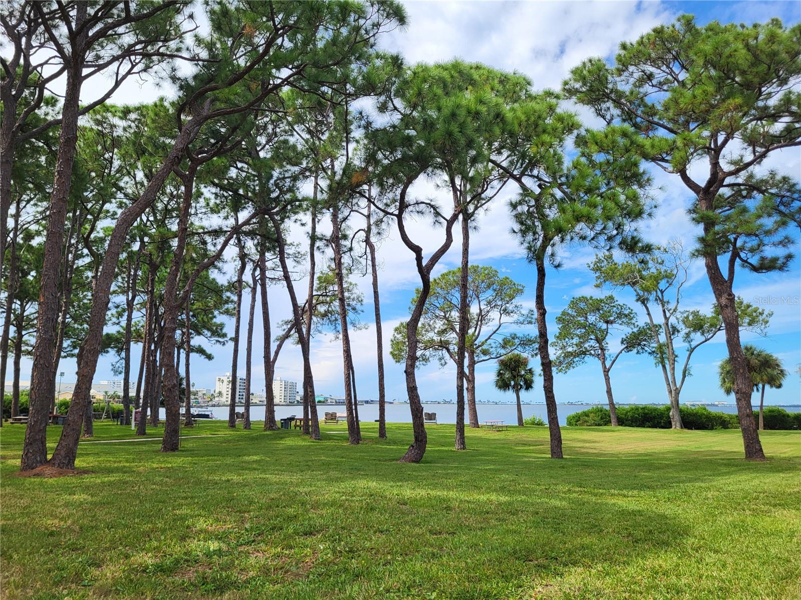2700 BAYSHORE BLVD #4102 — photo 4