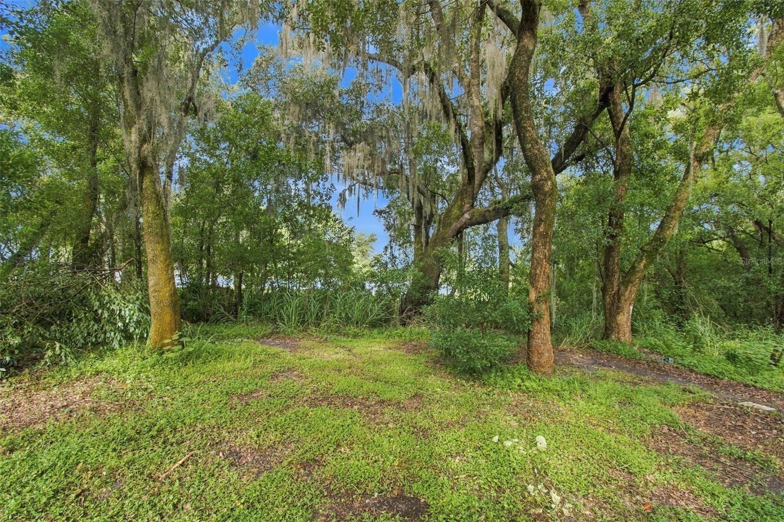 30251 SUNSET LN — photo 5