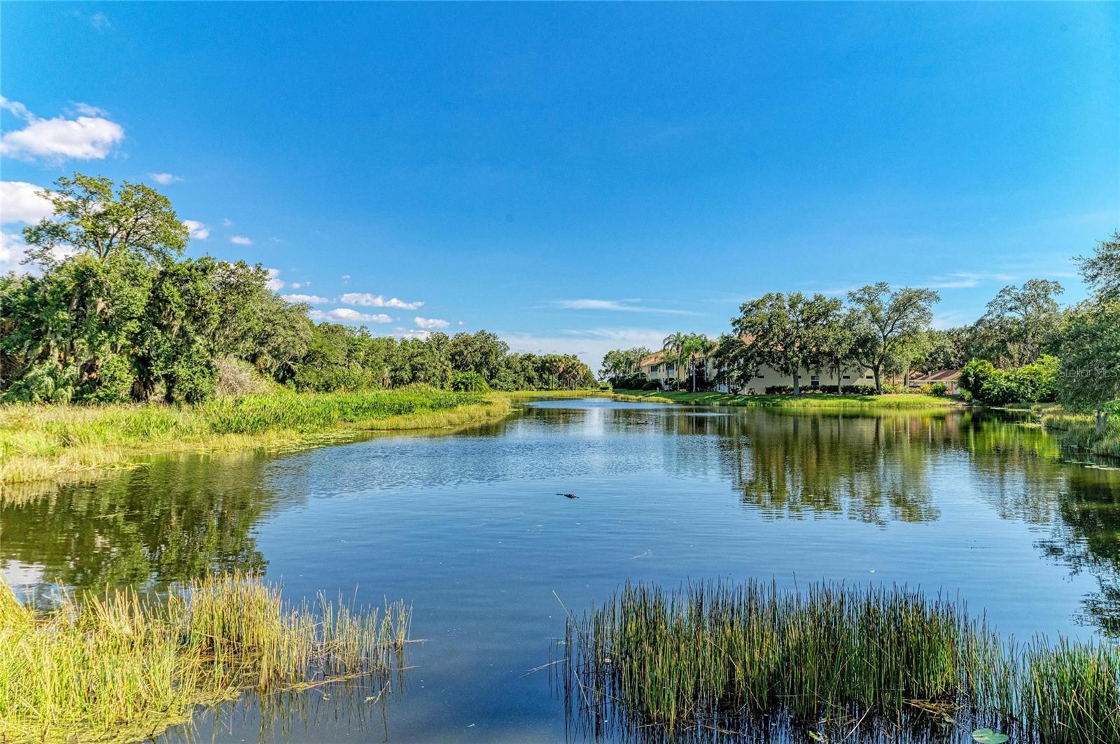 5645 KEY LARGO CT #5645 — photo 85