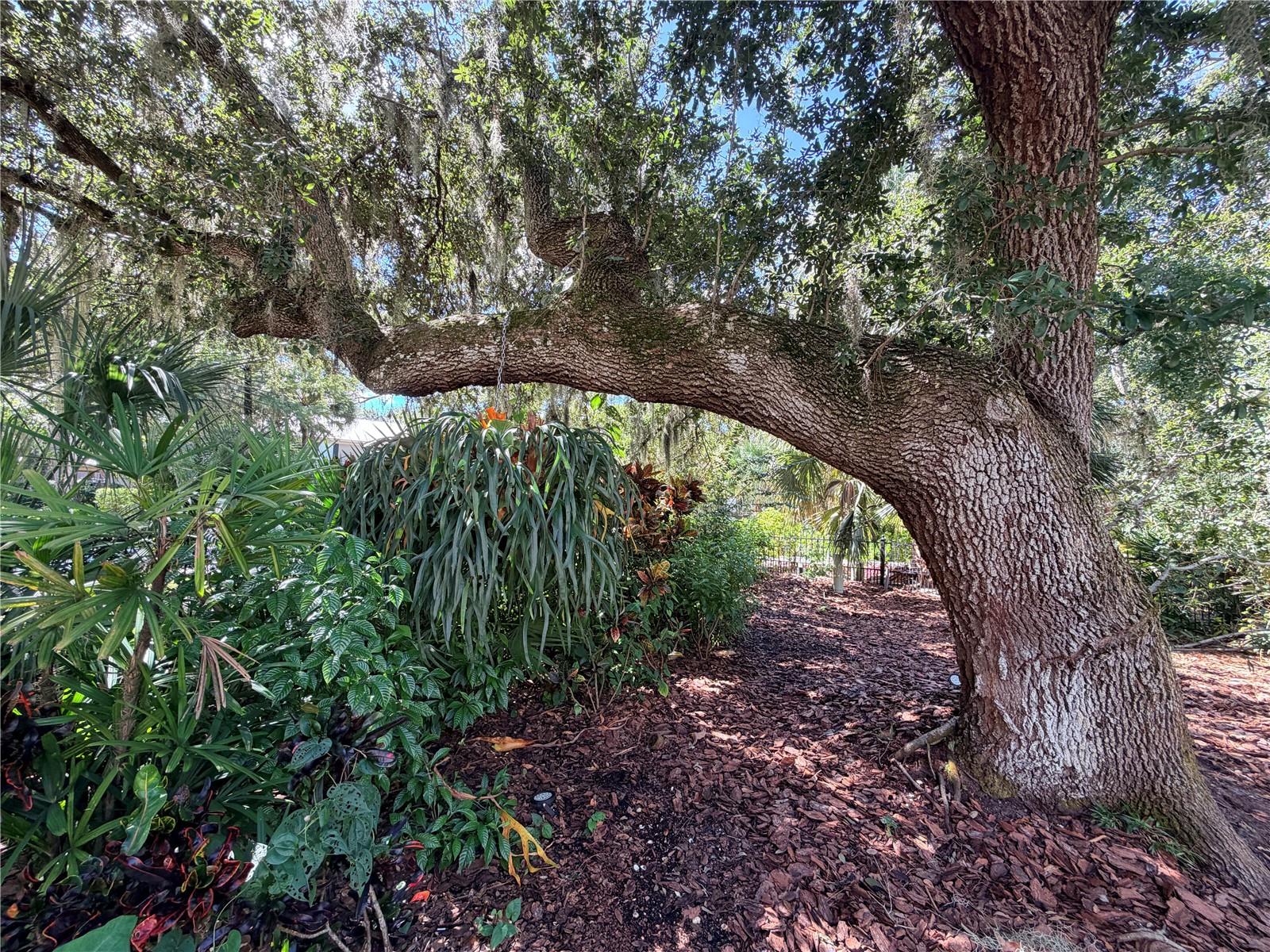 5903 RIVER FOREST CIR — photo 9