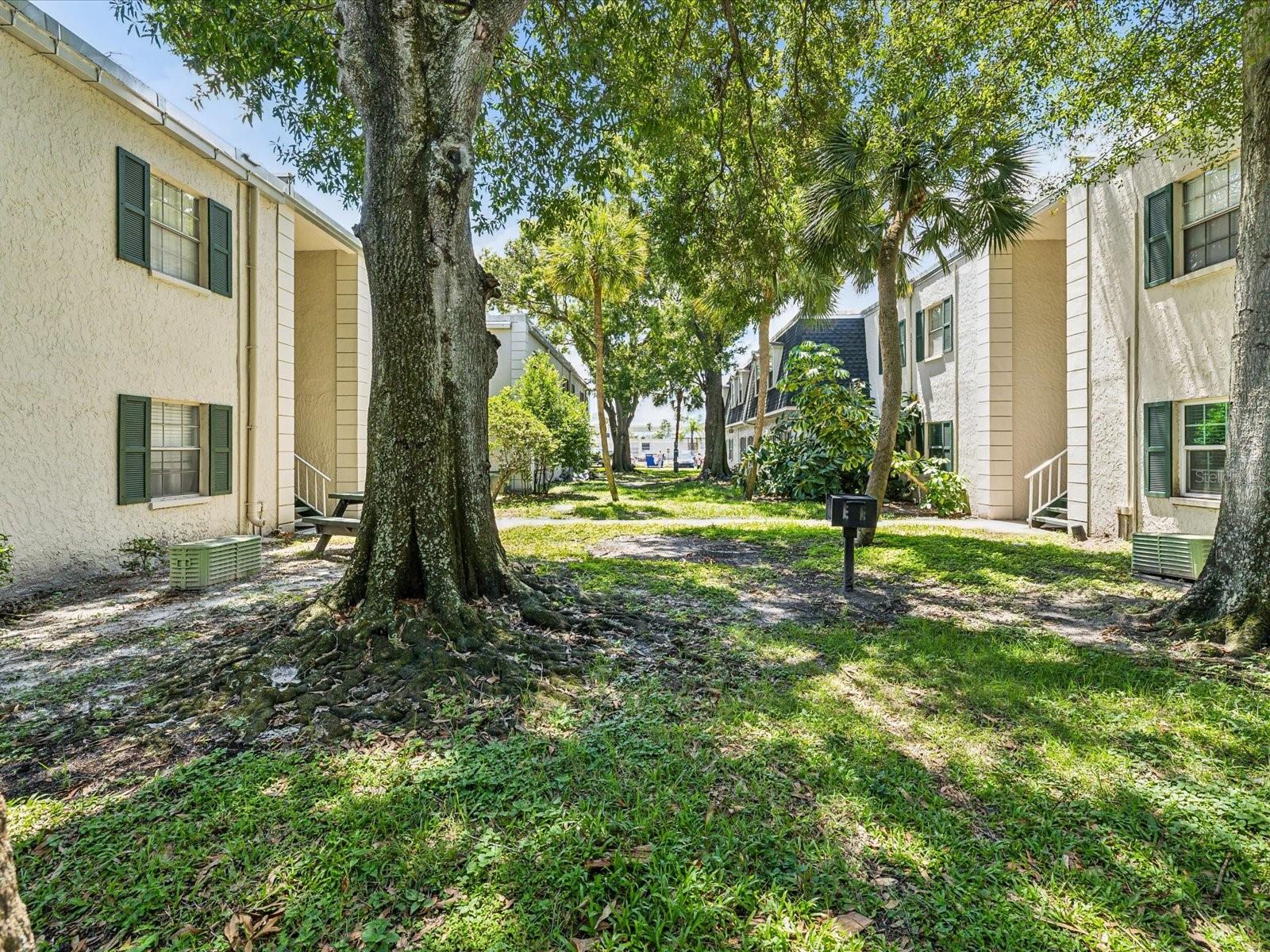 4335 AEGEAN DR #128A — photo 56