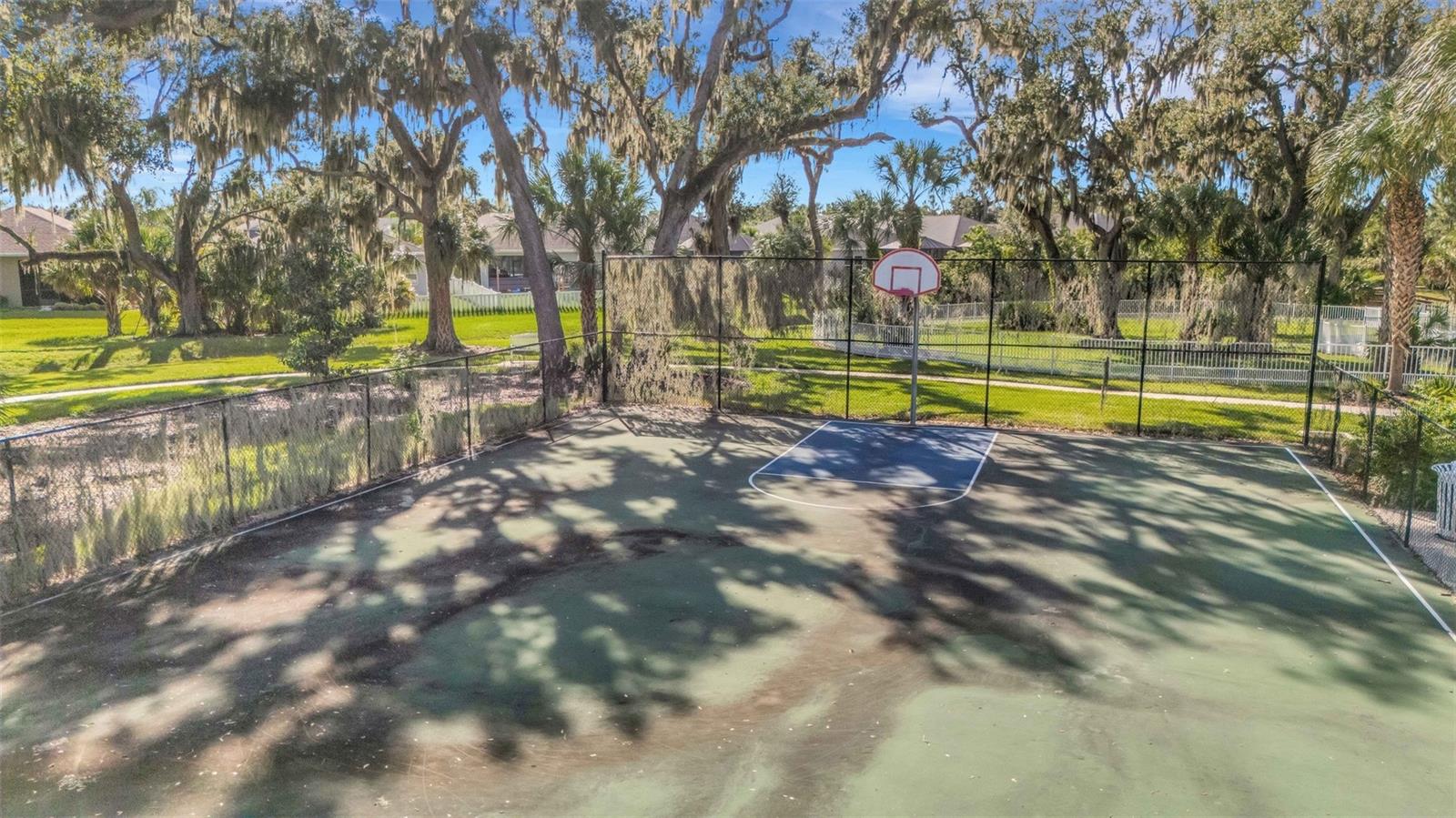 10426 CROOKED CREEK CT — photo 64