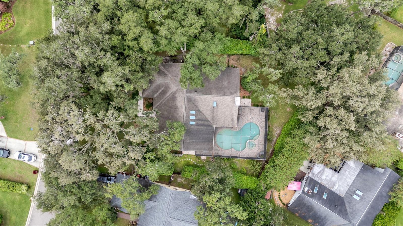 2712 LAUREL OAK DR — photo 50