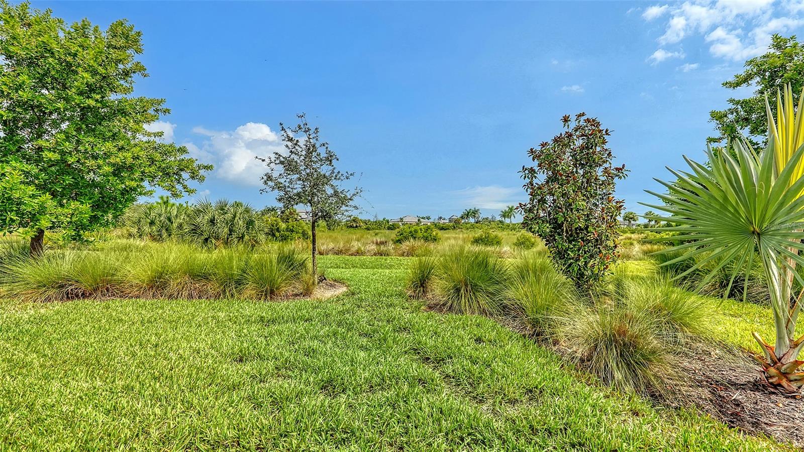 14544 EAGLE BRANCH DR — photo 43