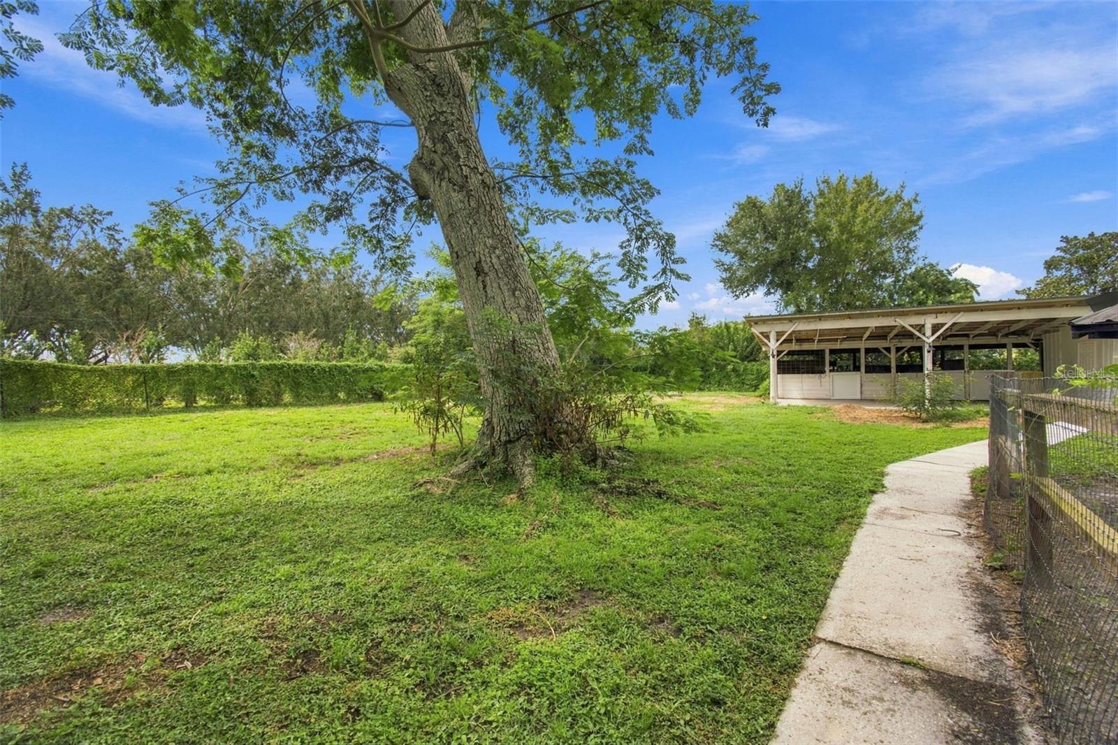 19902 GUNN HWY — photo 81