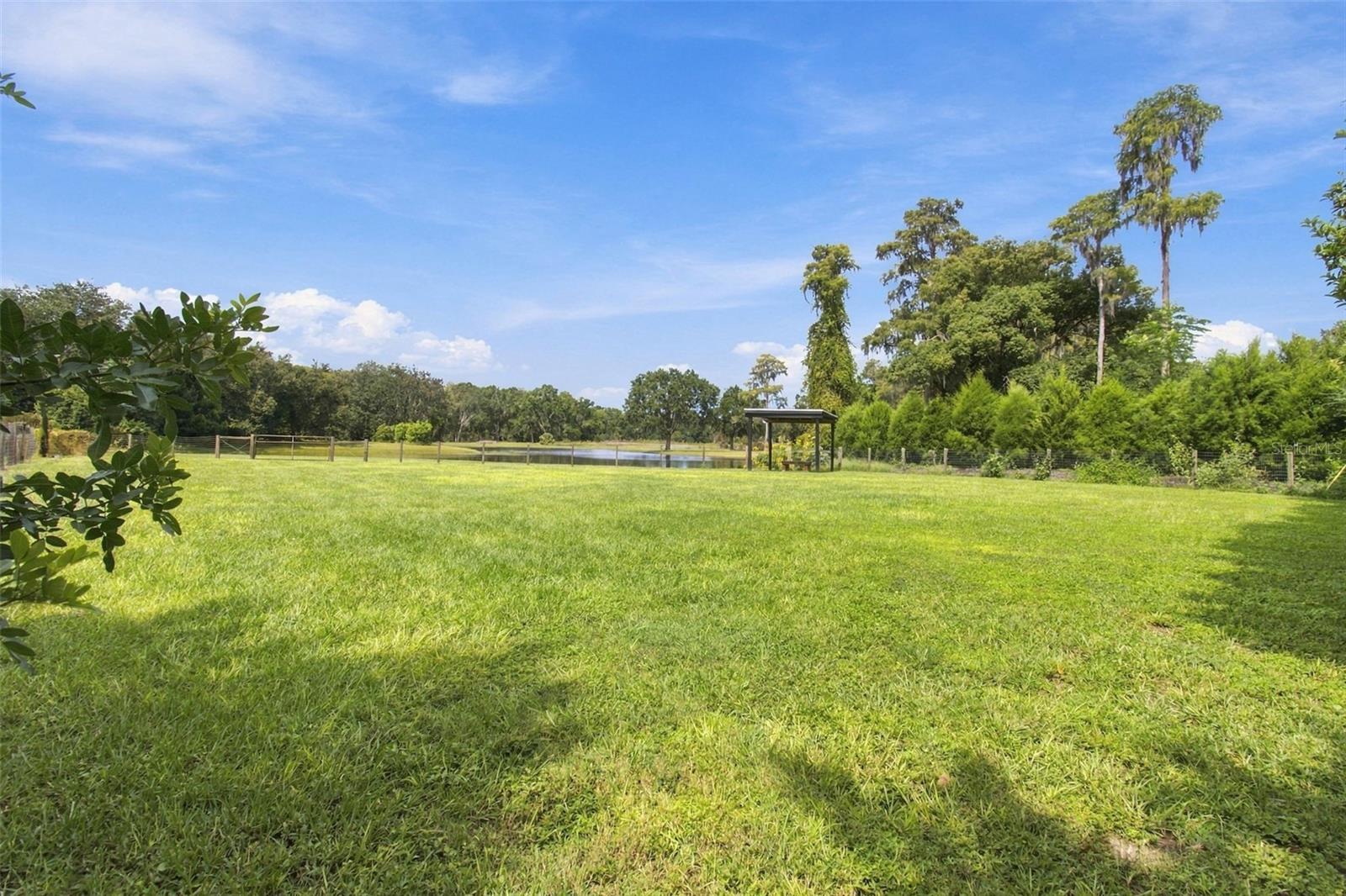 19902 GUNN HWY — photo 88