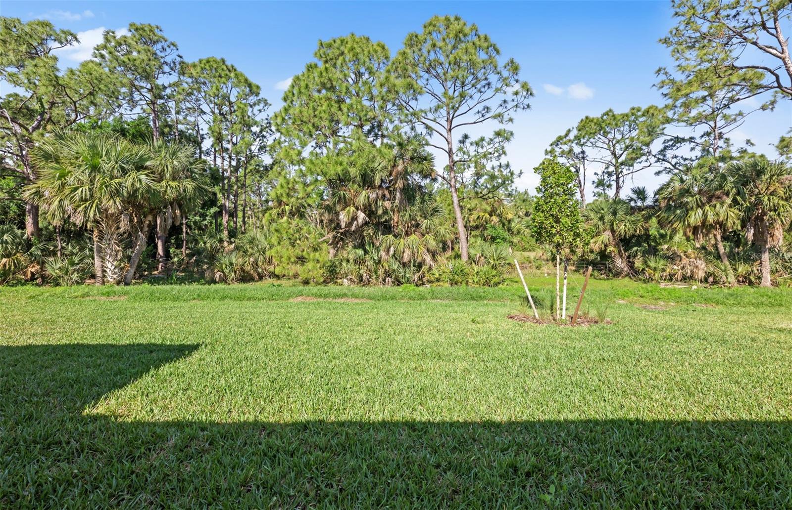 2633 GABEL OAK DR — photo 16
