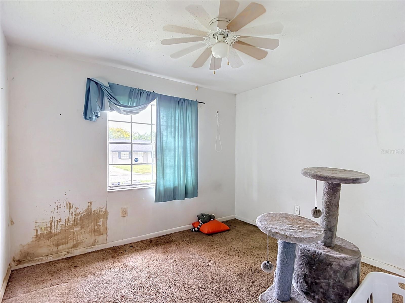 7331 FILBERT LN — photo 22