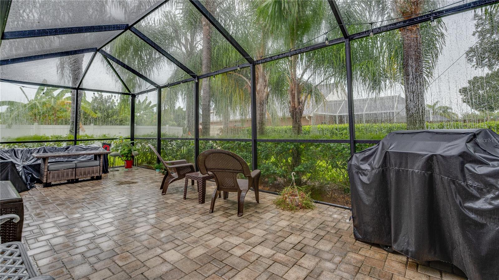 366 RAINFOREST CT — photo 54