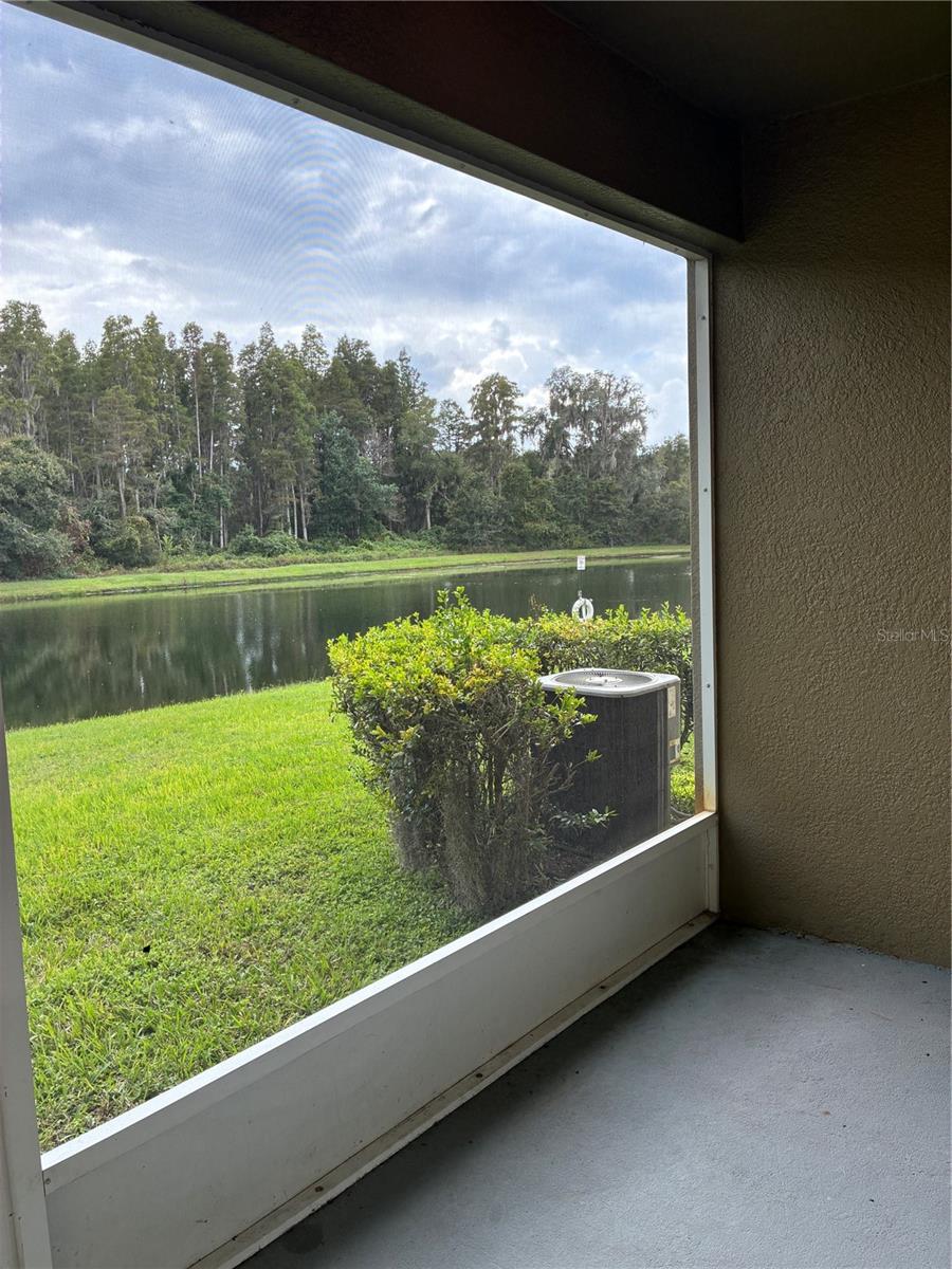31142 FLANNERY CT — photo 35