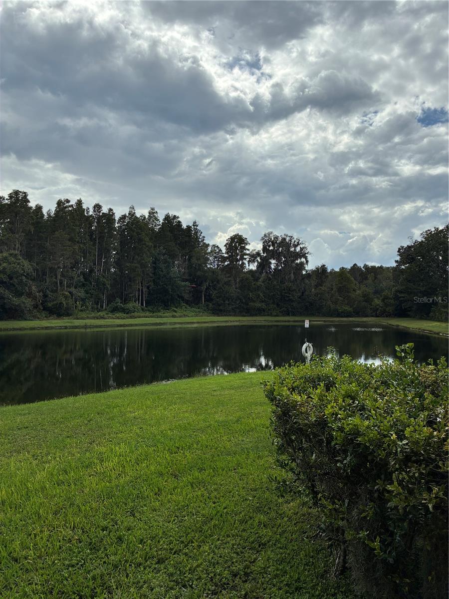 31142 FLANNERY CT — photo 37