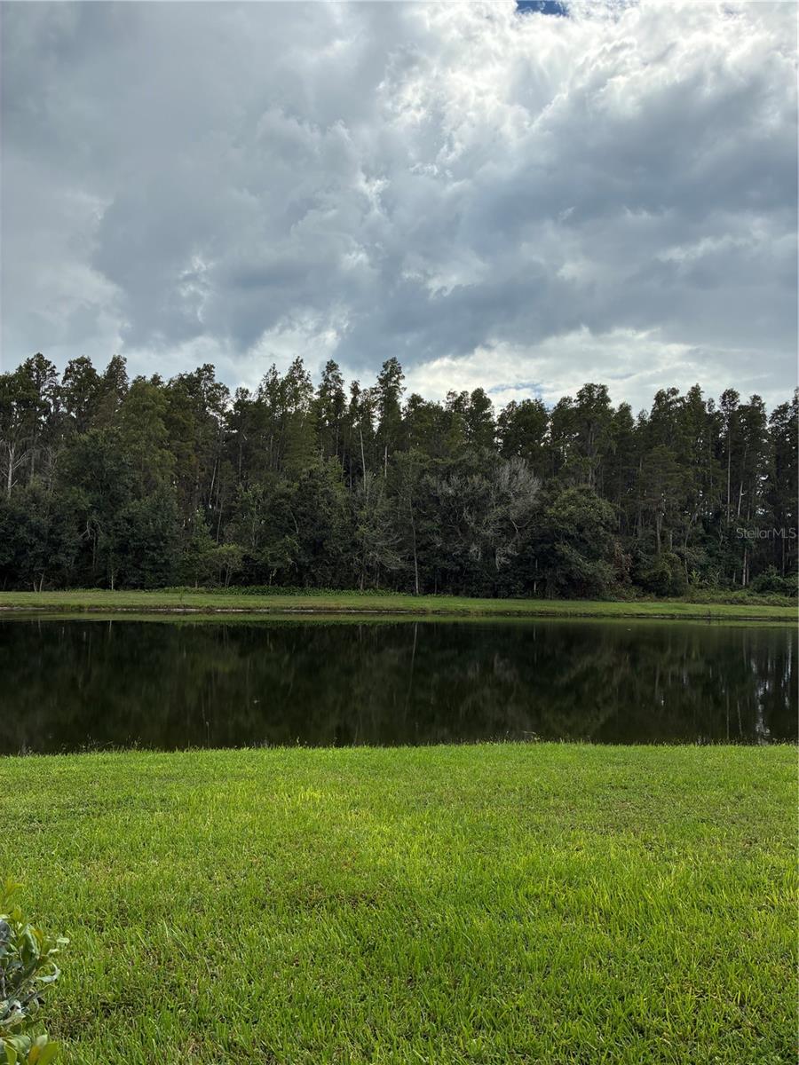 31142 FLANNERY CT — photo 38