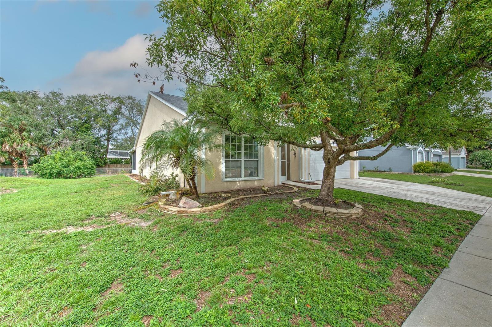 235 LAKEWAY LN — photo 30
