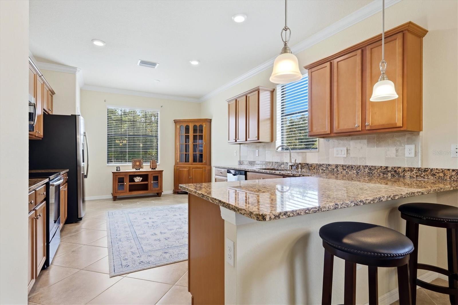 12360 CANAVESE LN — photo 16