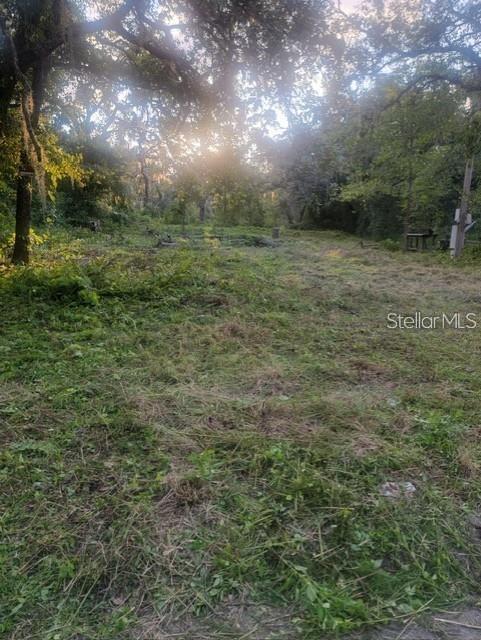 10145 LORELL ST — photo 5