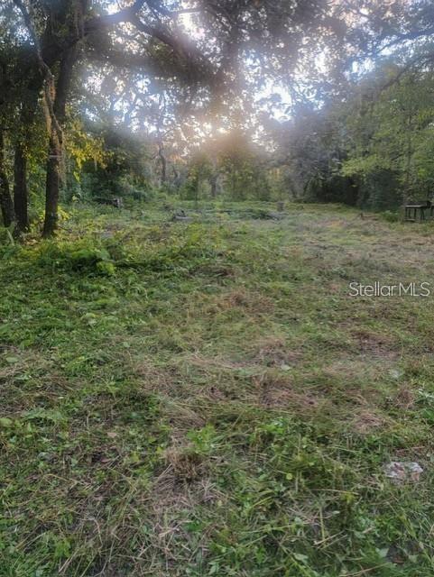 10145 LORELL ST — photo 4