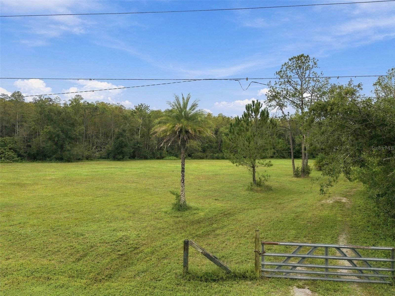 19135 N DALE MABRY HWY — photo 19