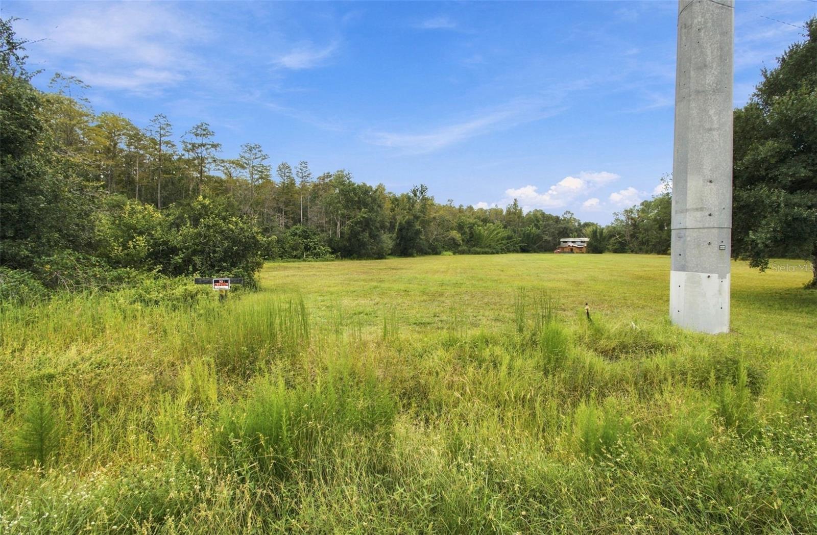 19135 N DALE MABRY HWY — photo 16