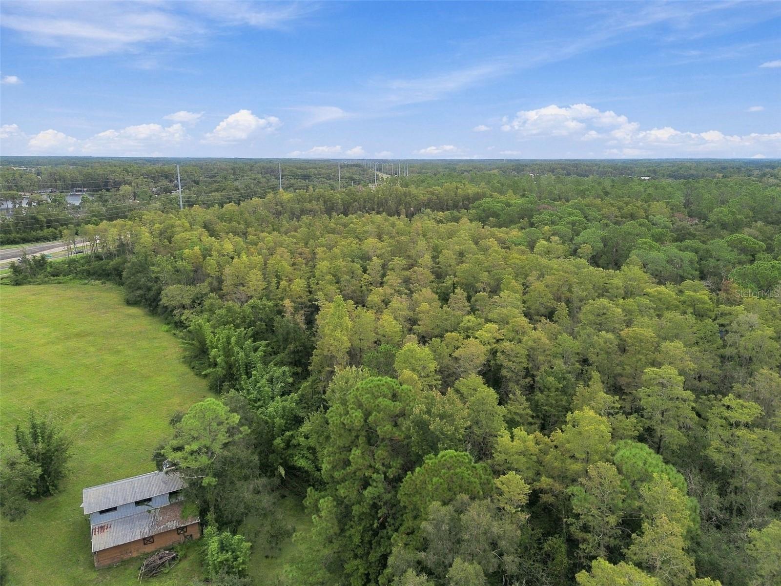 19135 N DALE MABRY HWY — photo 39