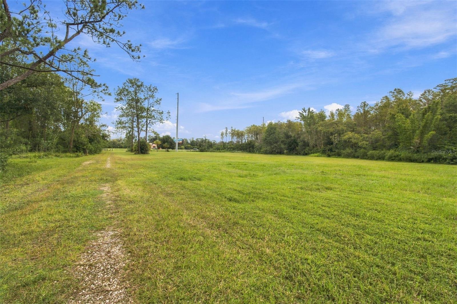 19135 N DALE MABRY HWY — photo 5