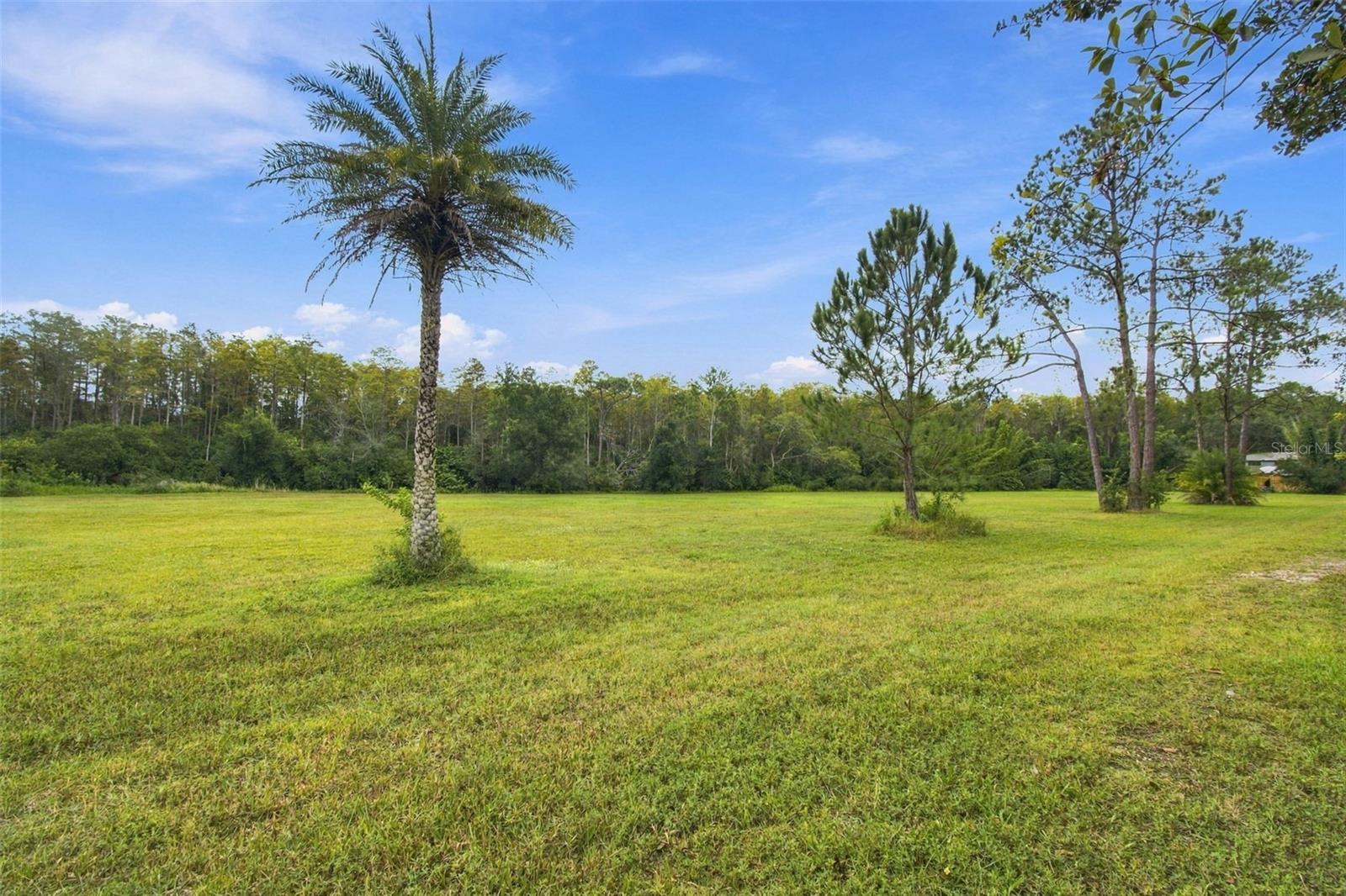 19135 N DALE MABRY HWY — photo 3