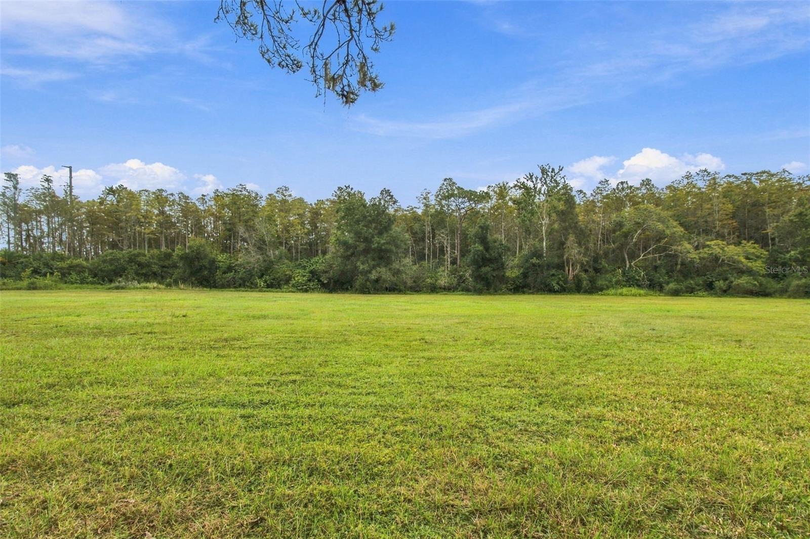 19135 N DALE MABRY HWY — photo 4
