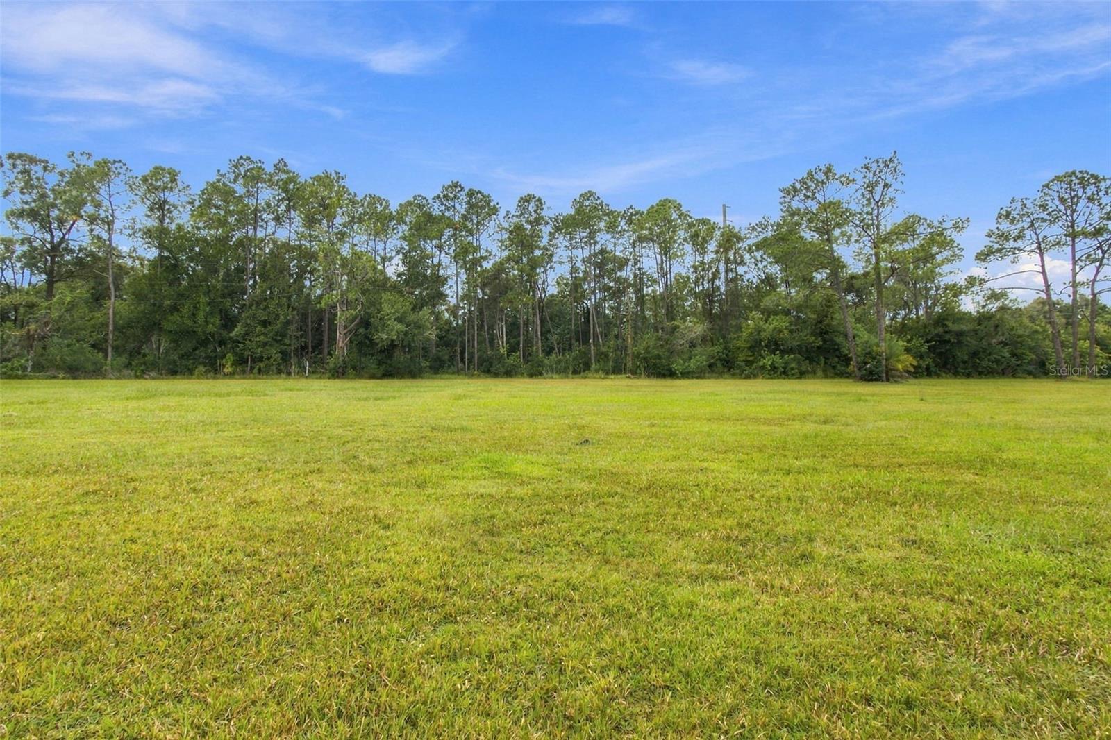 19135 N DALE MABRY HWY — photo 12
