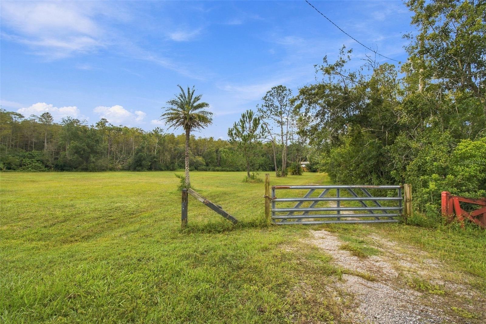 19135 N DALE MABRY HWY — photo 2