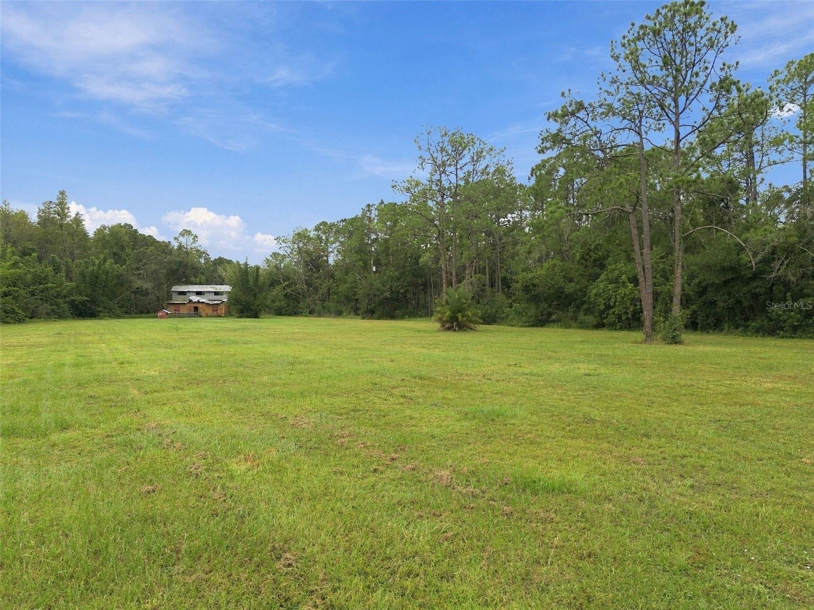 19135 N DALE MABRY HWY — photo 50