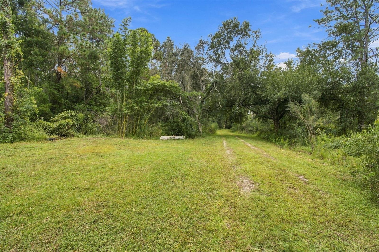 19135 N DALE MABRY HWY — photo 8