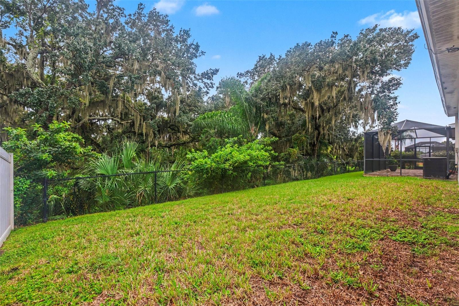 10710 SHADY PRESERVE DR — photo 23