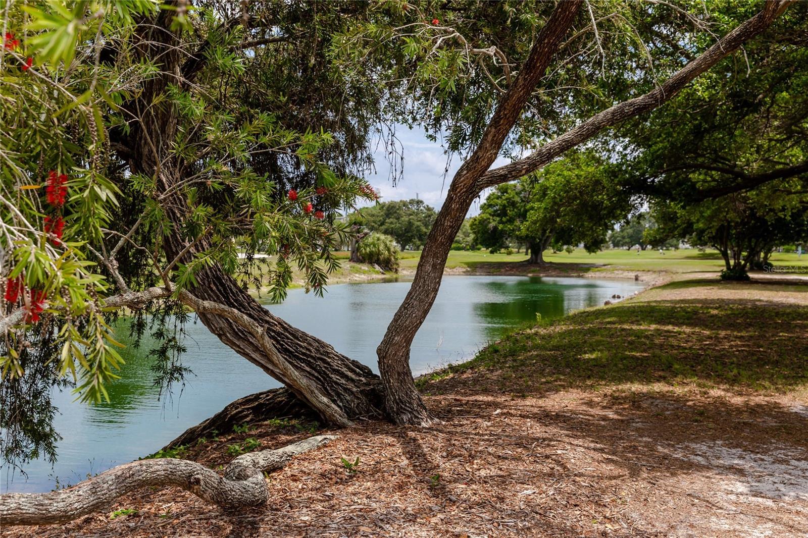 2072 AUSTRALIA WAY W #42 — photo 49