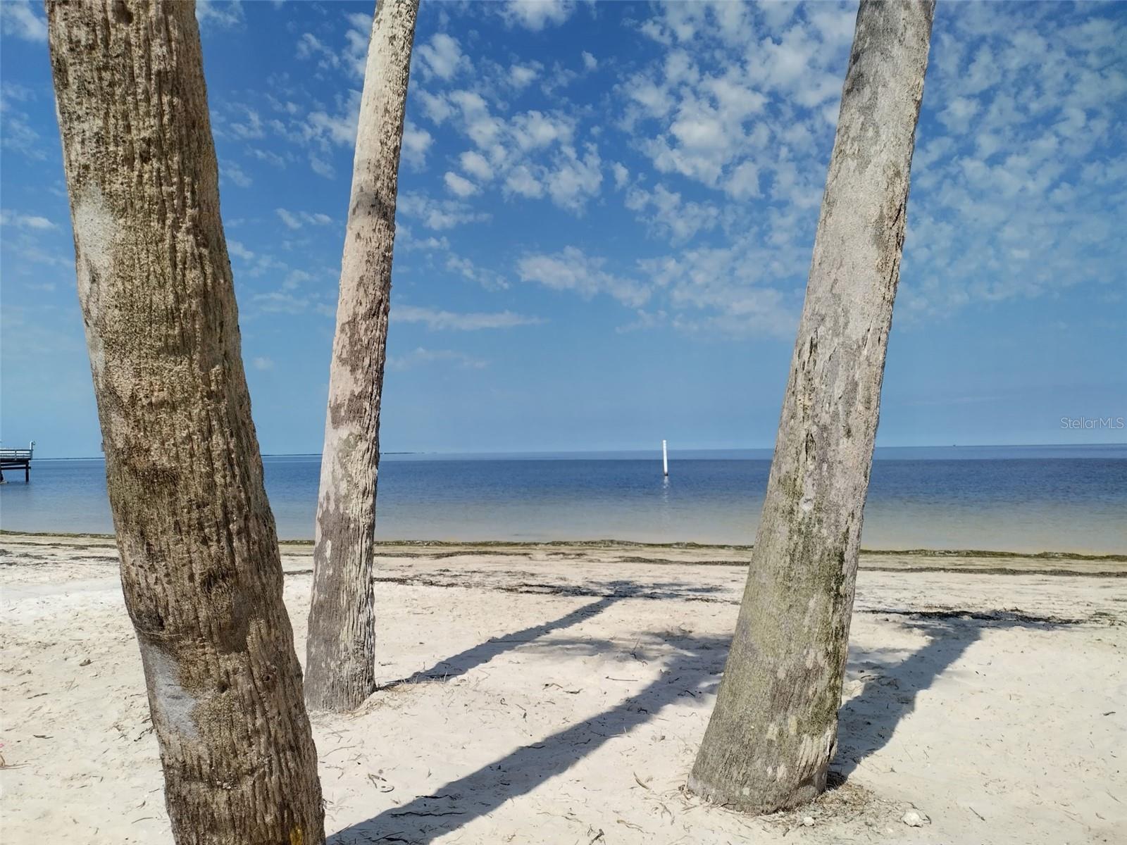 6522 SAND SHORE LN — photo 40