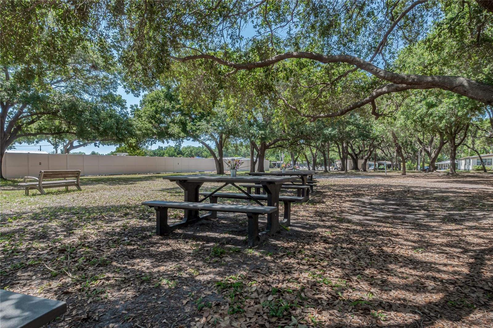 3329 EILEEN DR — photo 30