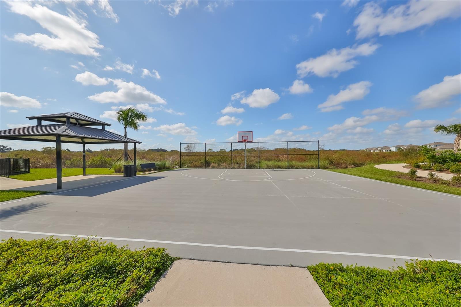 3531 WHITE DANDELION CT — photo 43