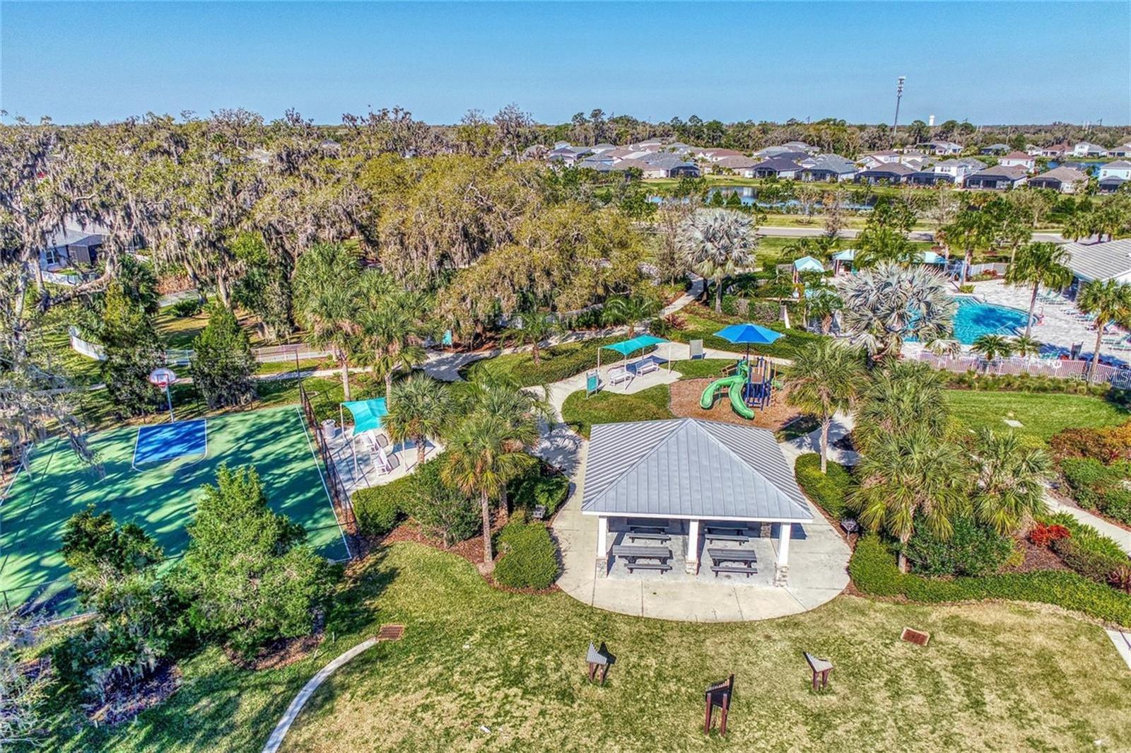 10934 SAND PINE LN — photo 61