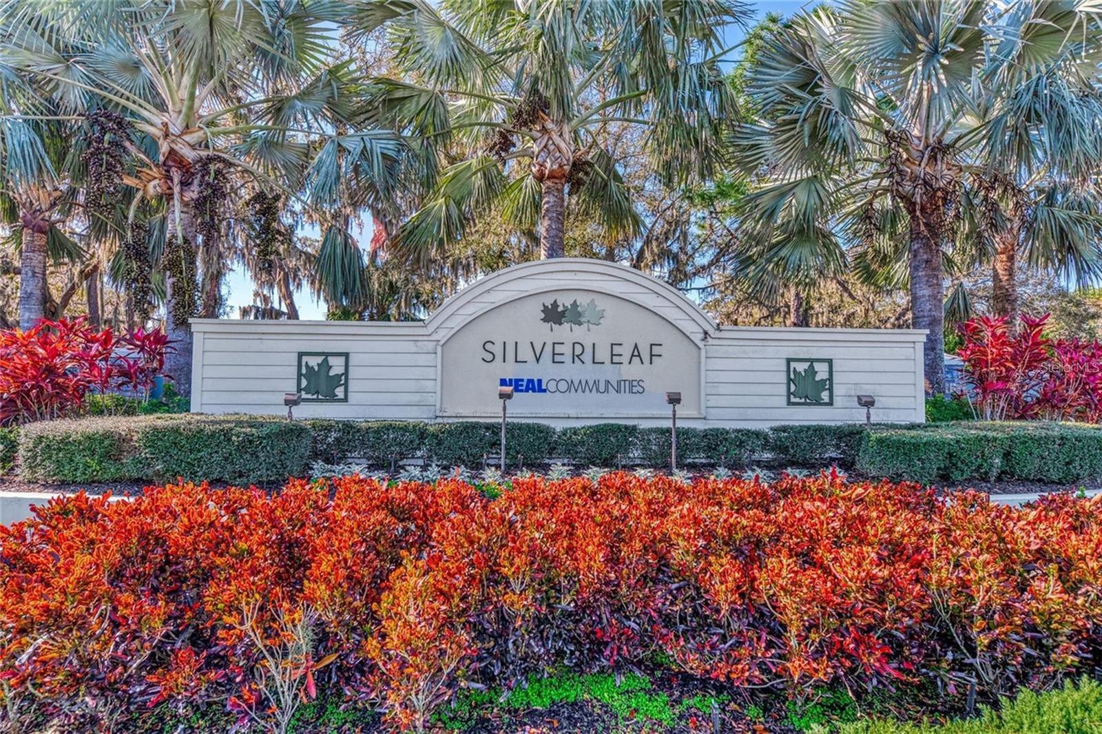 10934 SAND PINE LN — photo 53