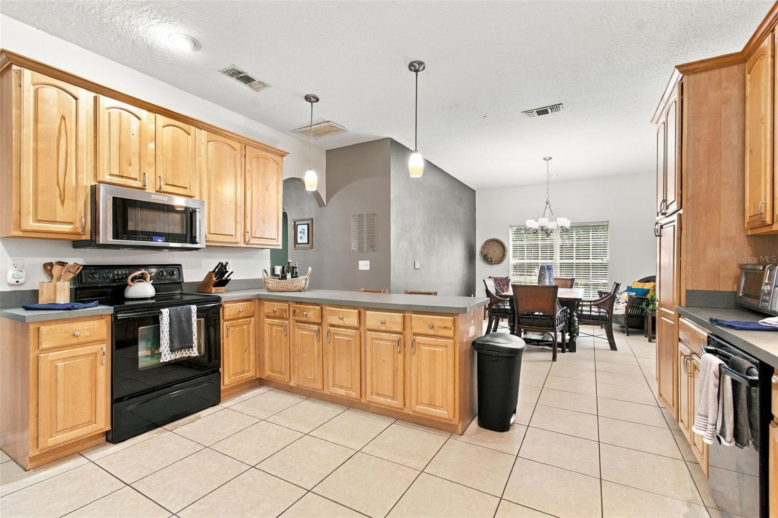 36900 SUWANEE WAY — photo 21