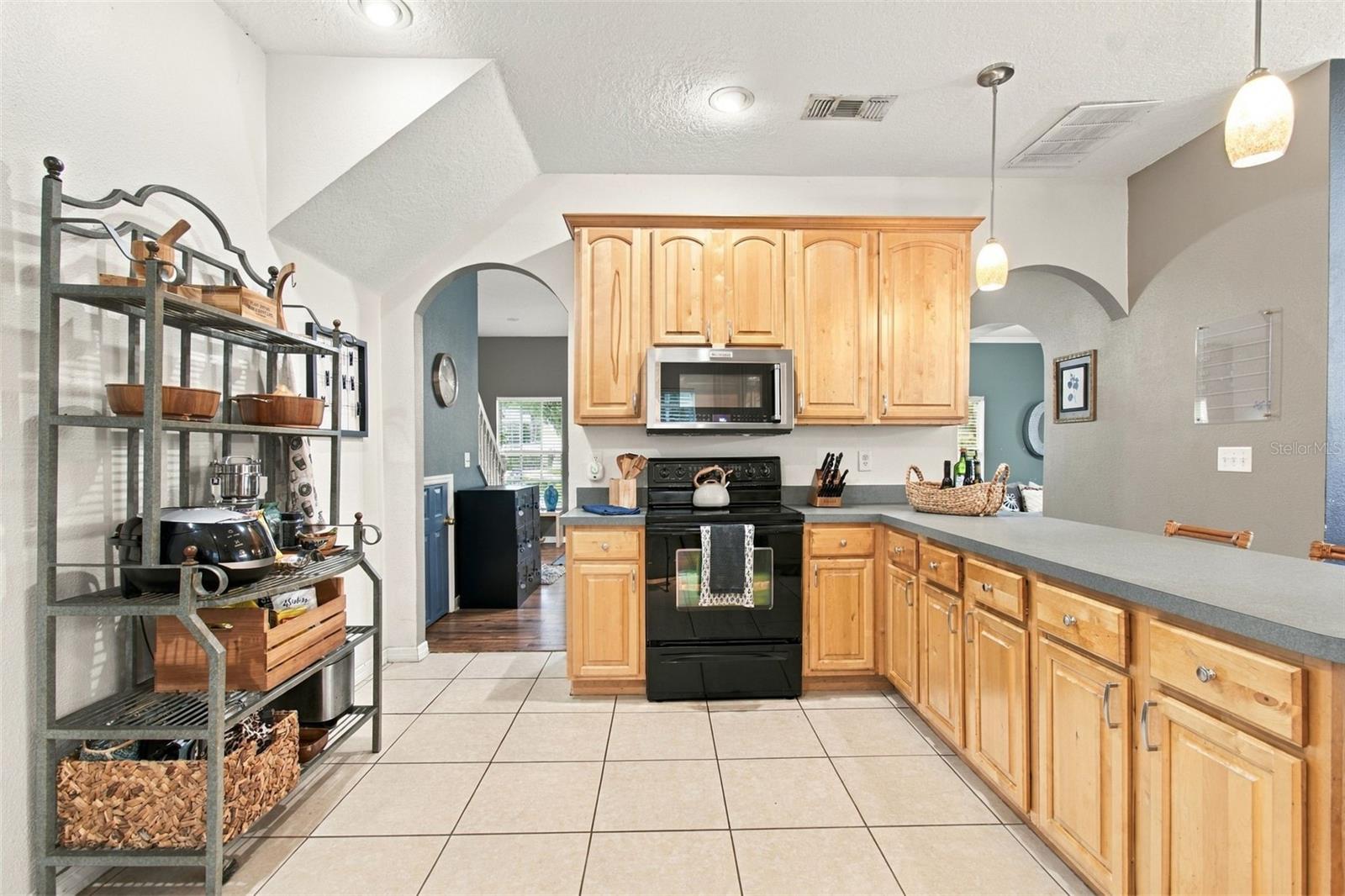 36900 SUWANEE WAY — photo 19