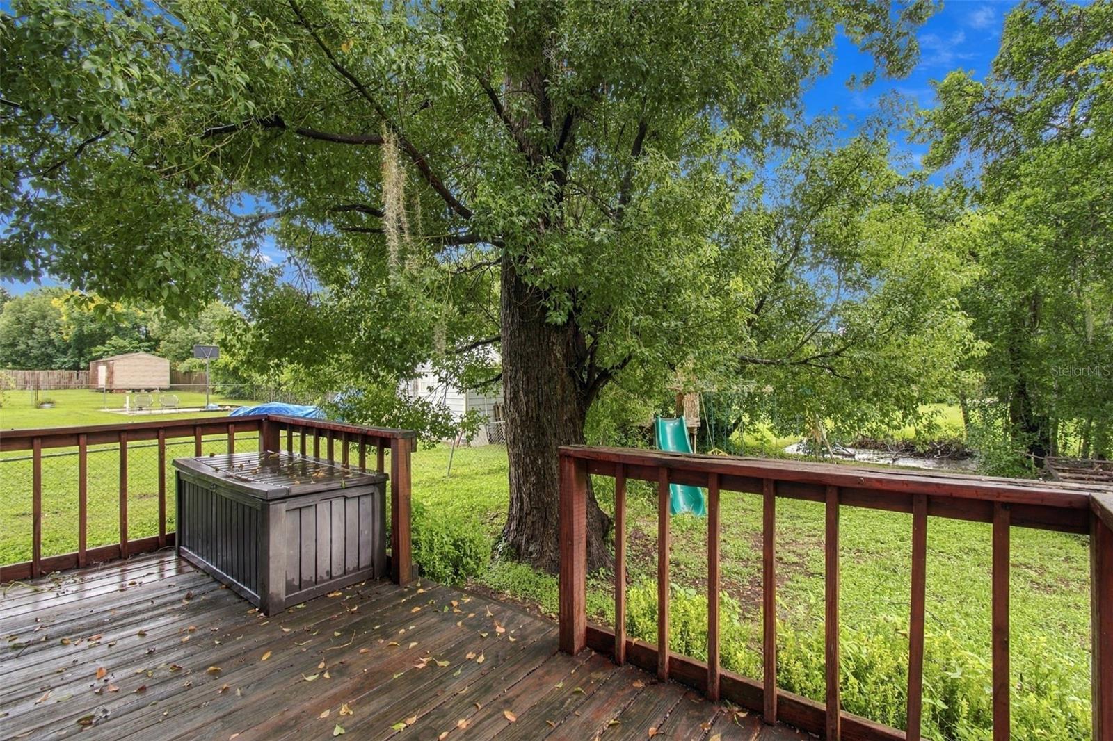 36900 SUWANEE WAY — photo 47
