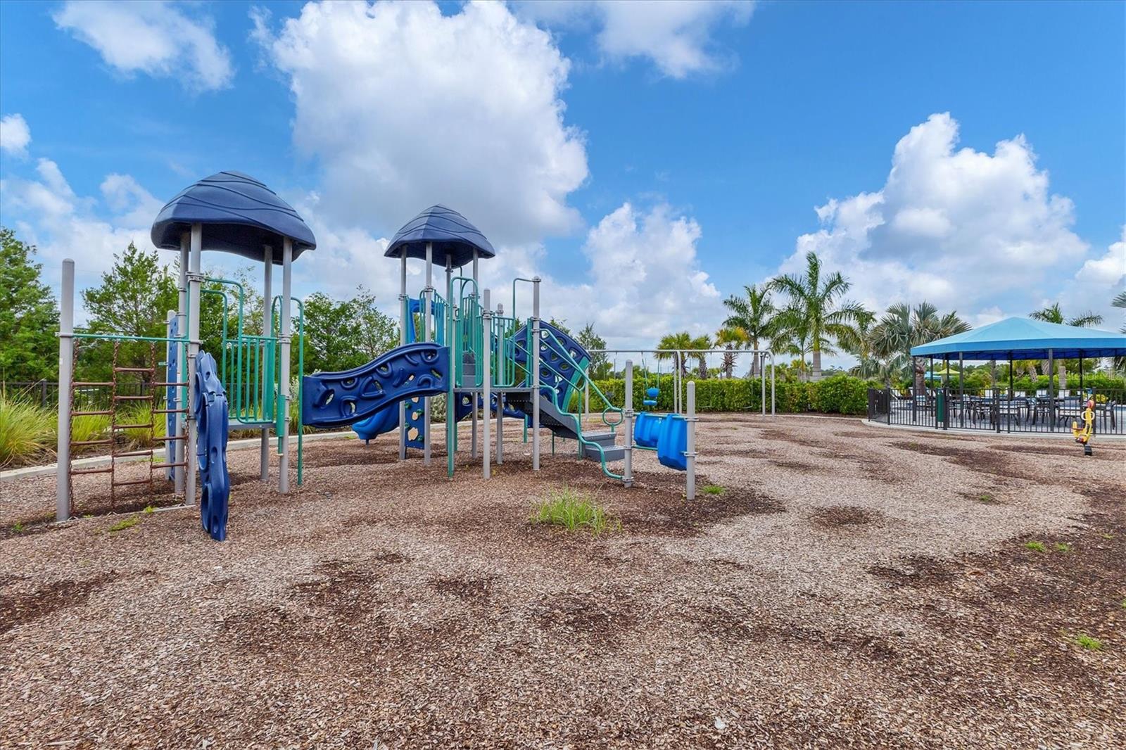 2321 BLUE MAHOE LN — photo 43