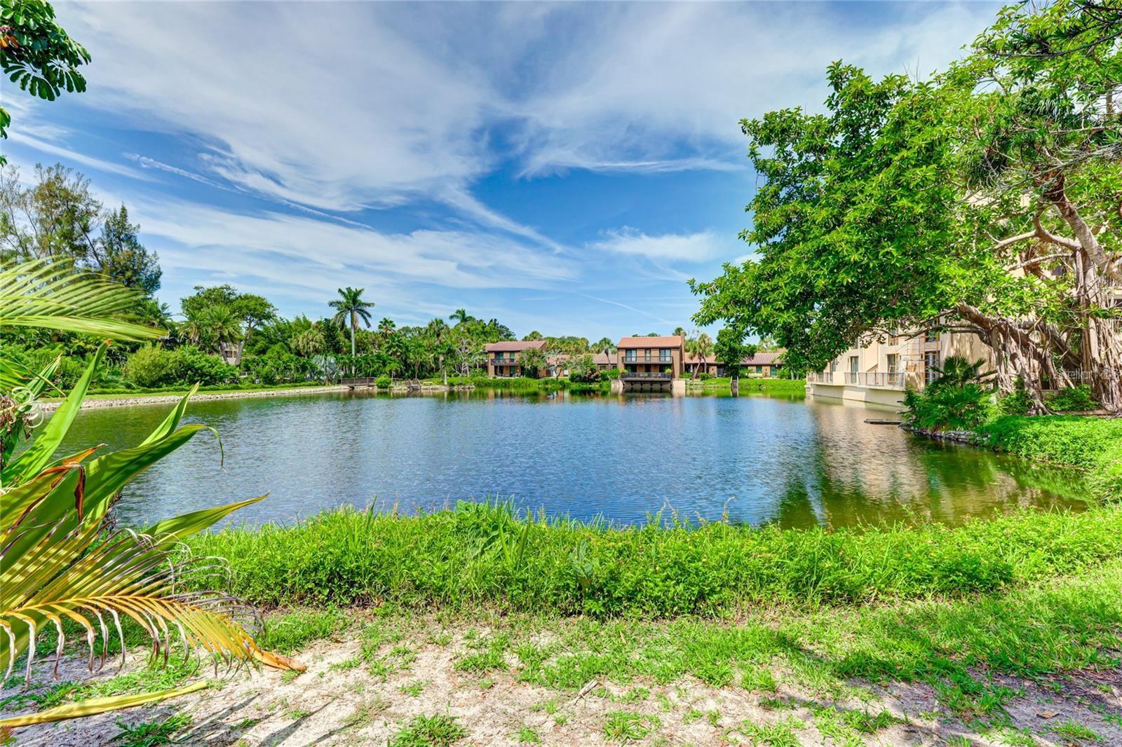 11 SANDY COVE RD #8F — photo 23
