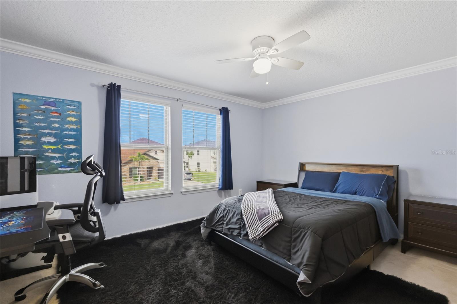 731 116TH CT NE — photo 35