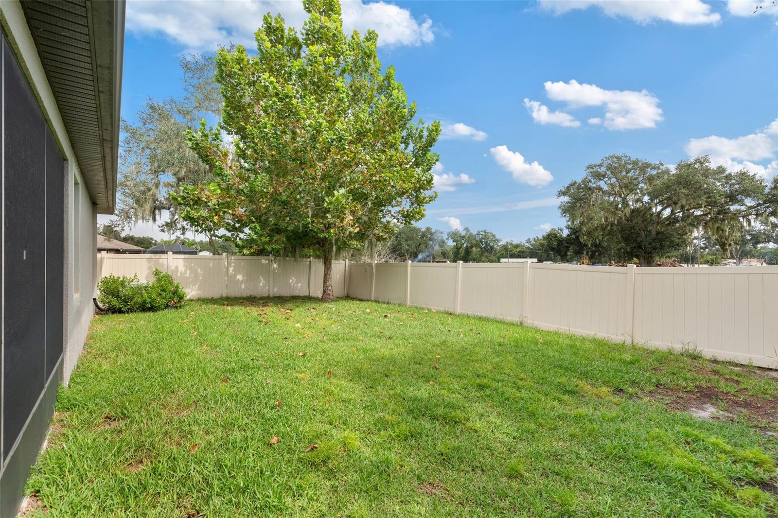 10438 ARBOR GROVES PL — photo 43